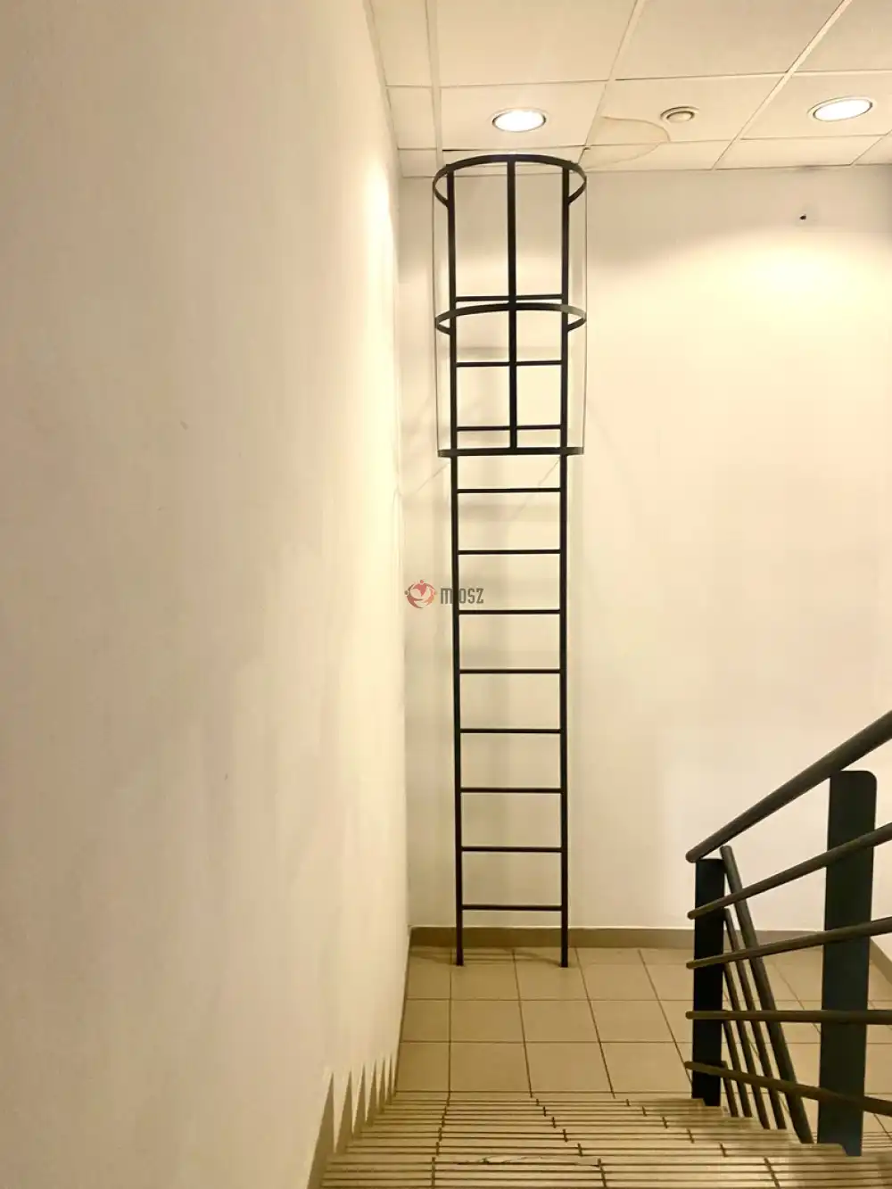 Budapest, X. kerület - Ligettelek